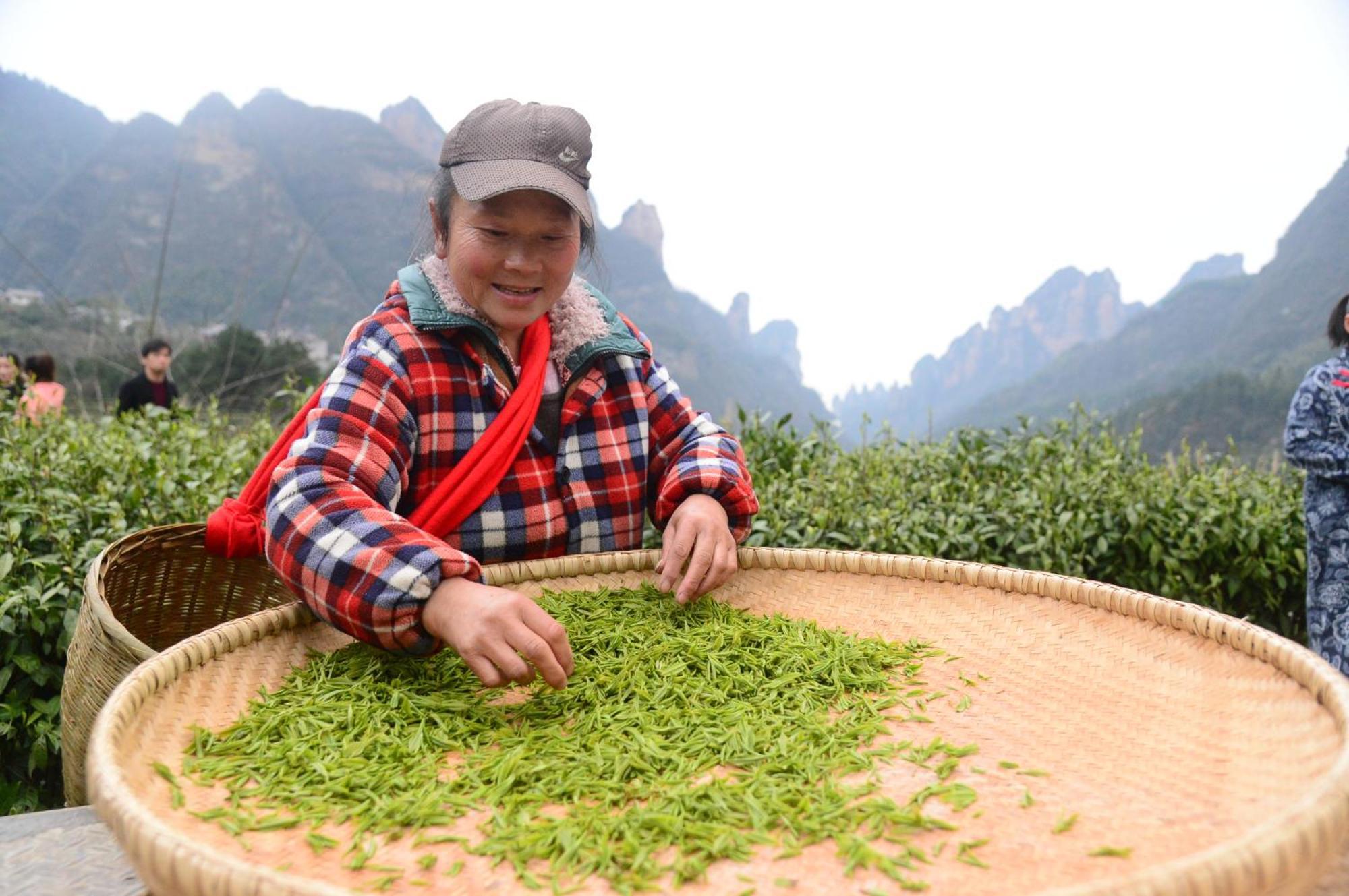 Breeze & Alley Inn--Tianmenshan Cableway-English Reception-Tourism Planing Zhangjiajie Eksteriør billede