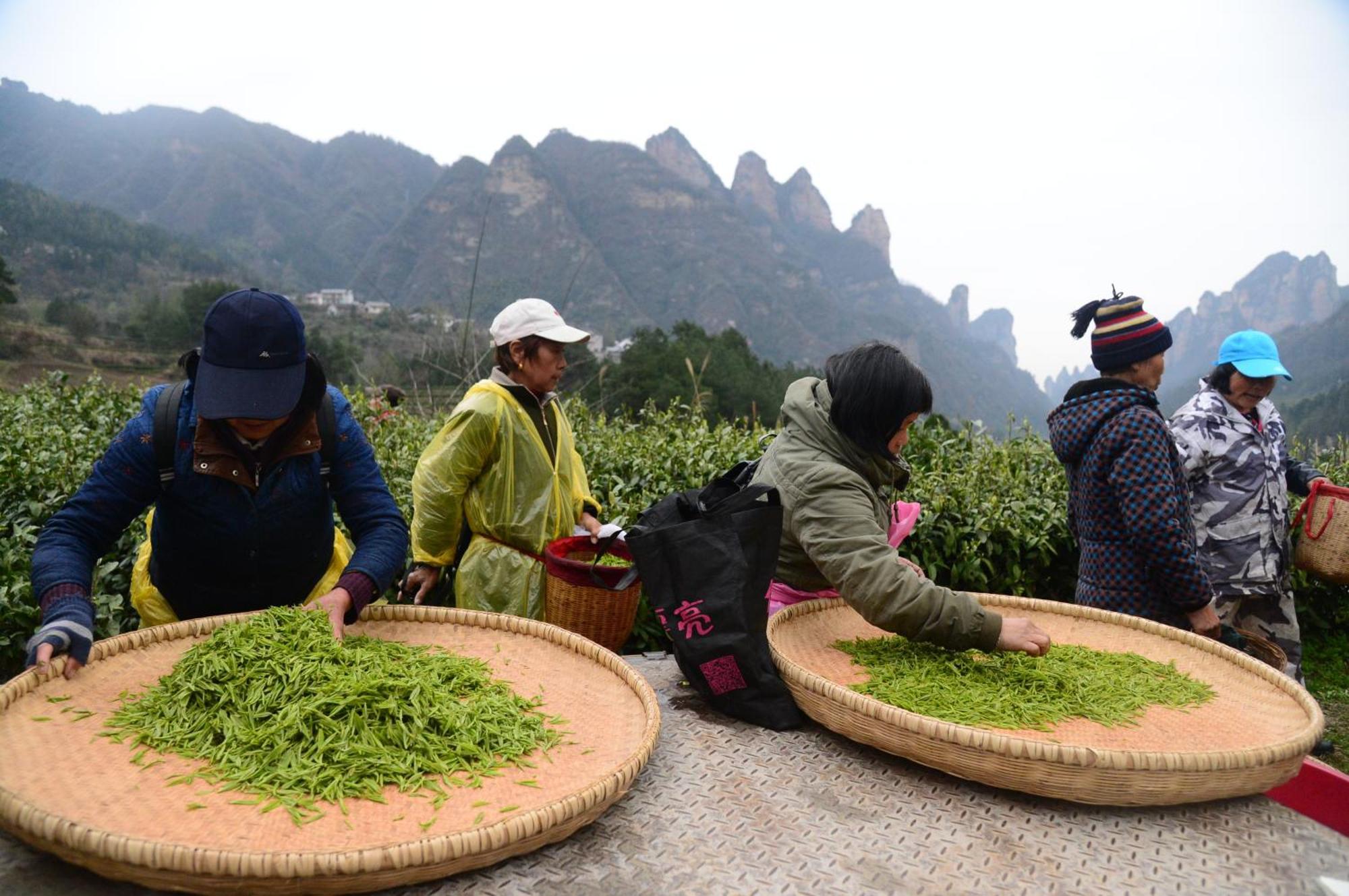 Breeze & Alley Inn--Tianmenshan Cableway-English Reception-Tourism Planing Zhangjiajie Eksteriør billede